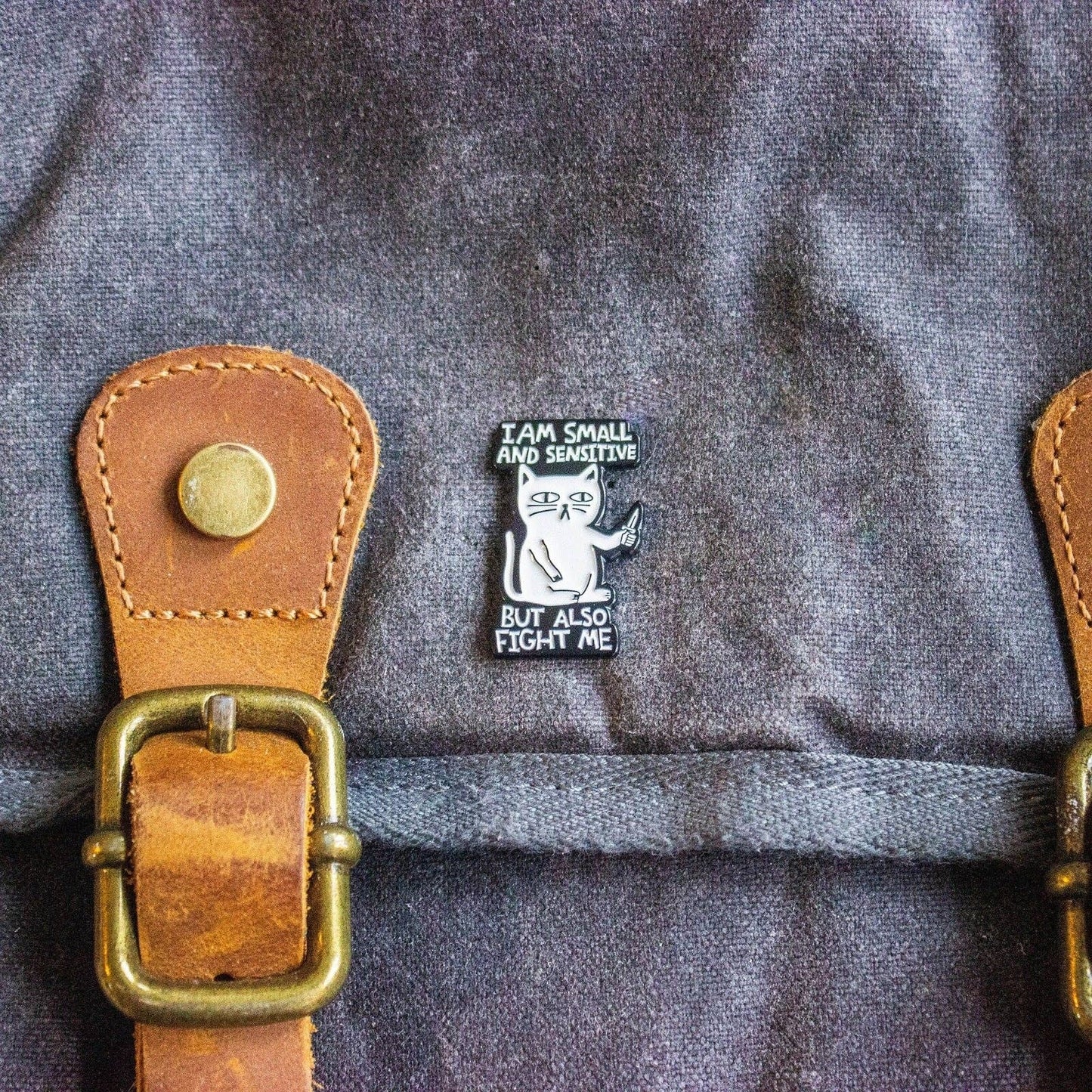 DnD Gift I Am Small And Sensitive But Also Fight Me Cat Pin