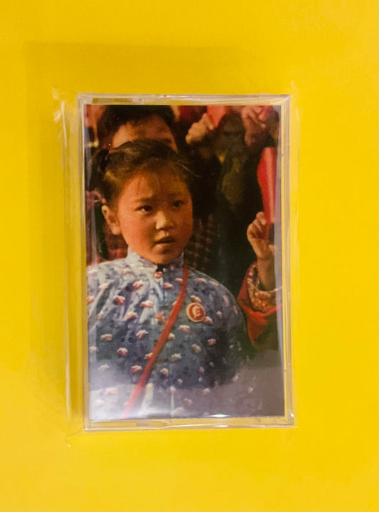 Hannah barbera cartoon never made, Regression Towards Mediocrity Cassette