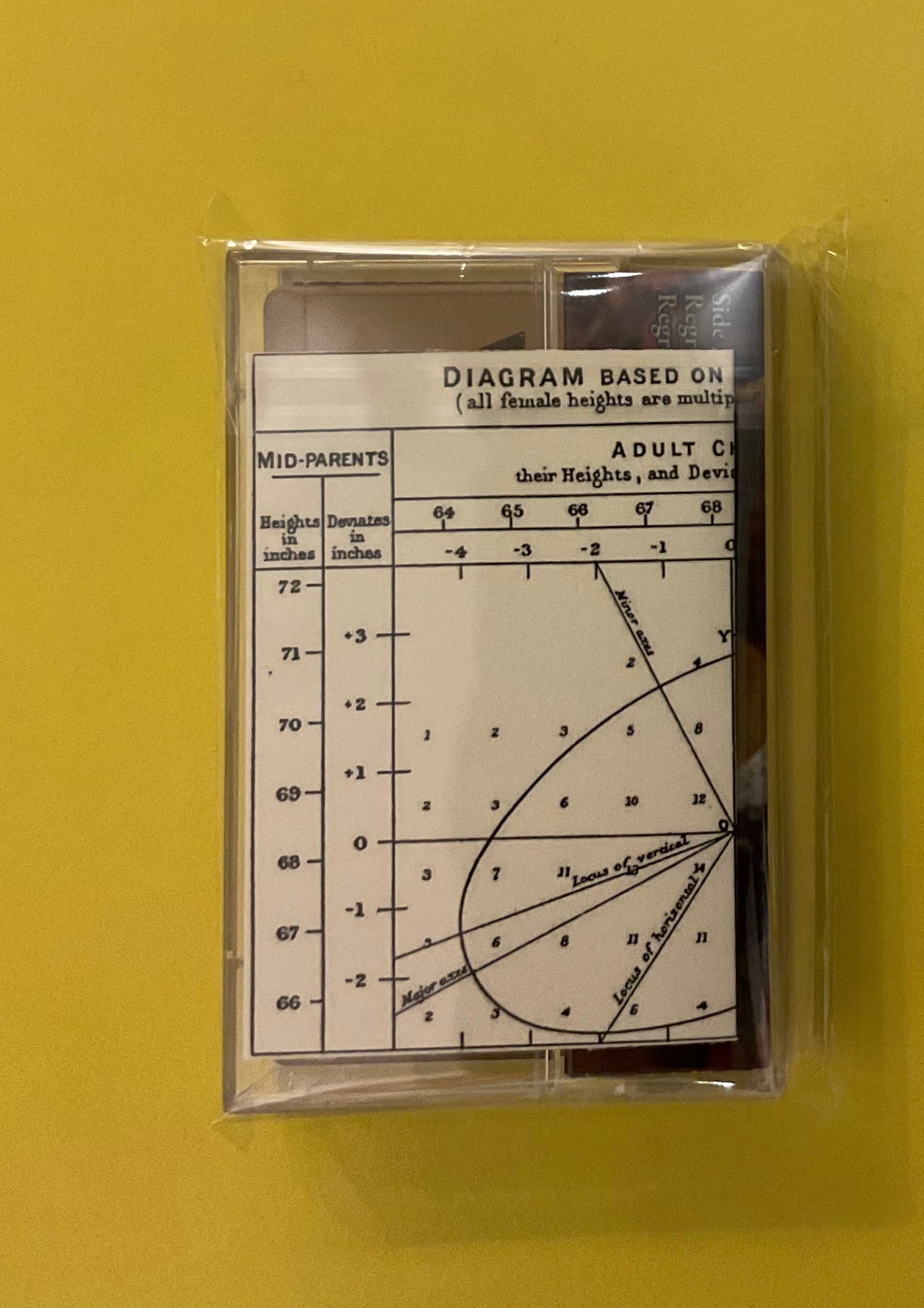 Hannah barbera cartoon never made, Regression Towards Mediocrity Cassette