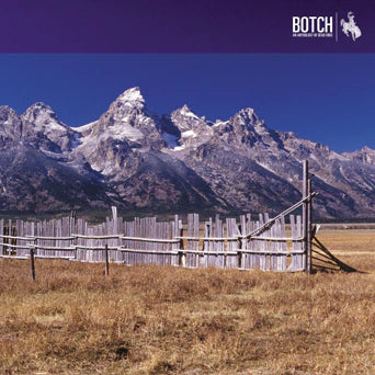 Botch "An Anthology Of Dead Ends" - 12"ep - Color Vinyl LP