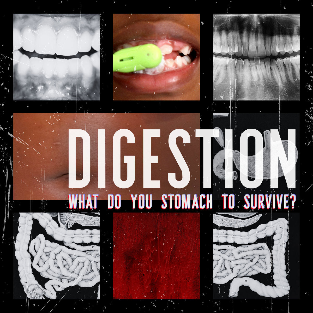 Sharp Teeth Sweet - Digestion: What do You Stomach To Survive? CD