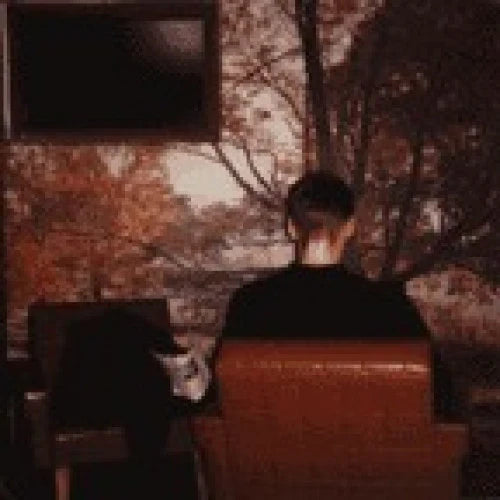 Fugazi "Furniture" - 7" LP