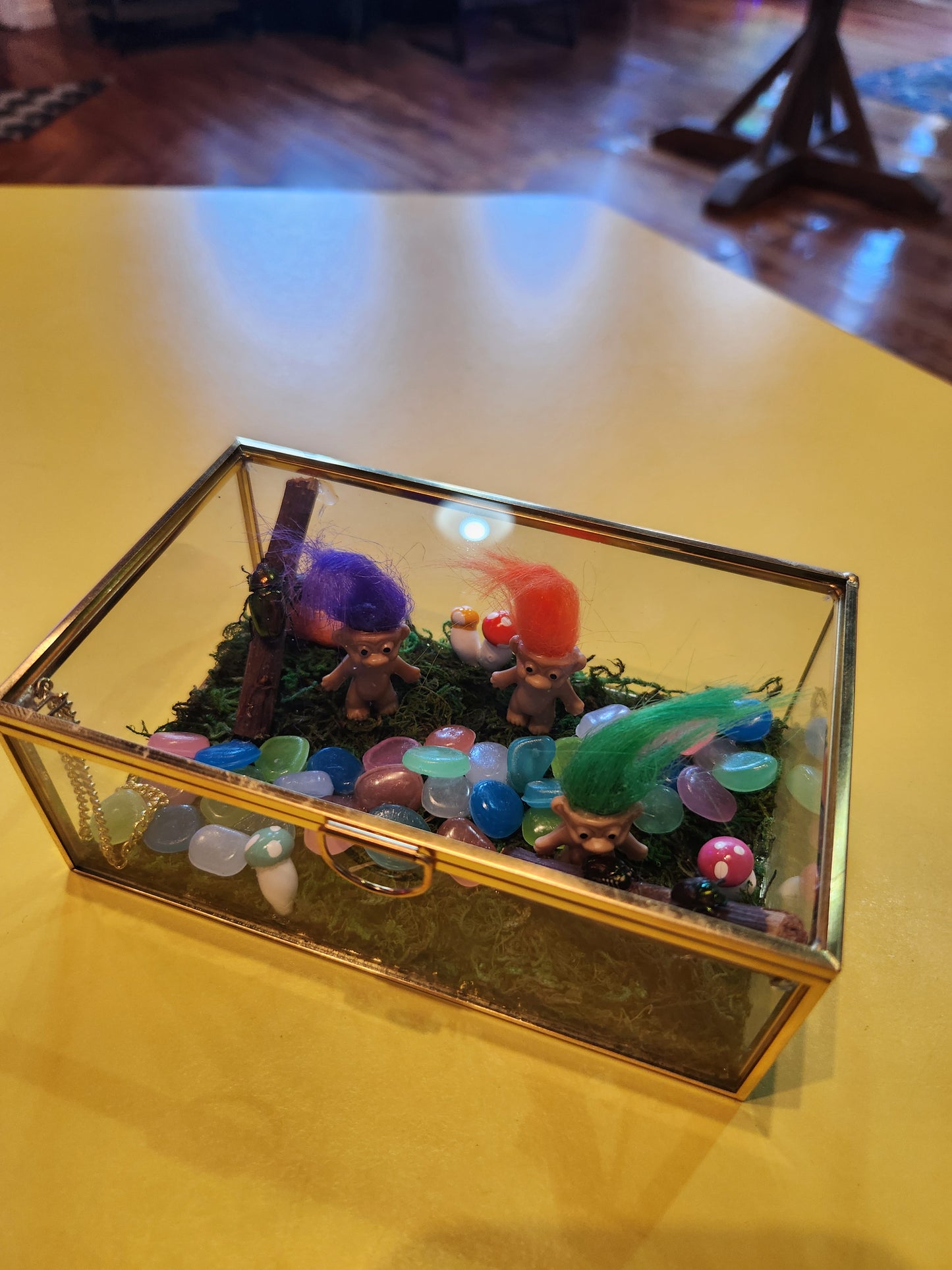 Troll Beetles Bug Taxidermy