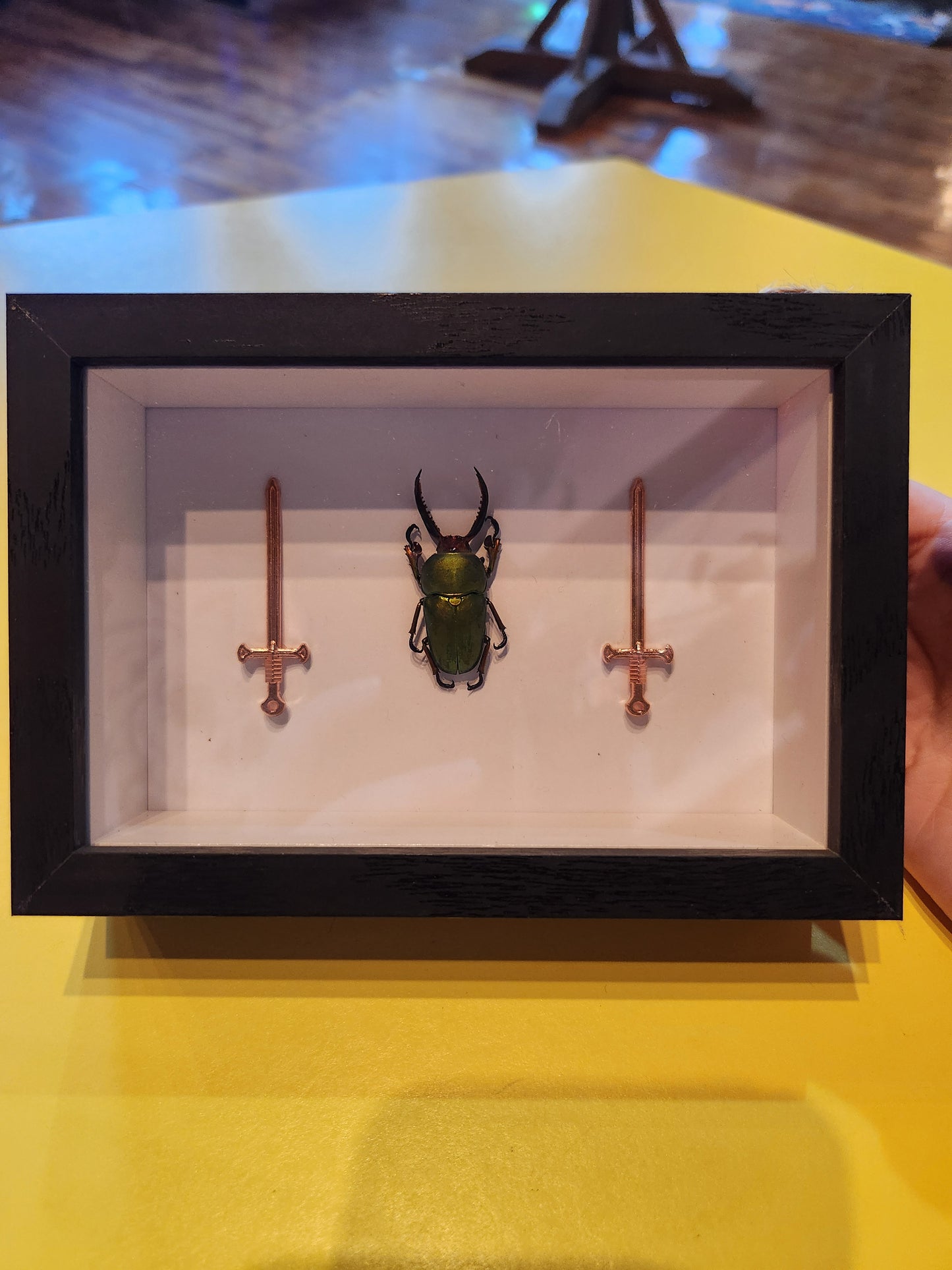 Beetle Swords Bug Taxidermy