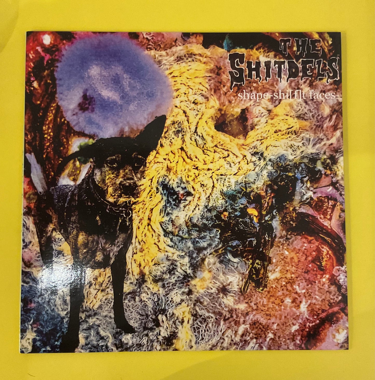 The Shitdels - Shape-shi[f]t faces LP