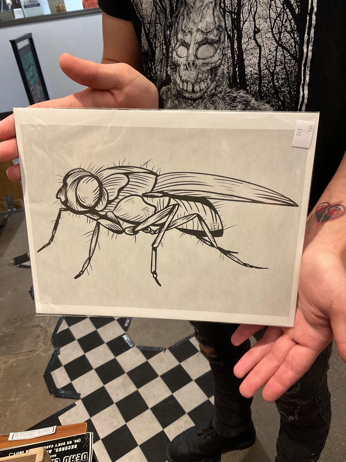 Fly 8.5x11in Print