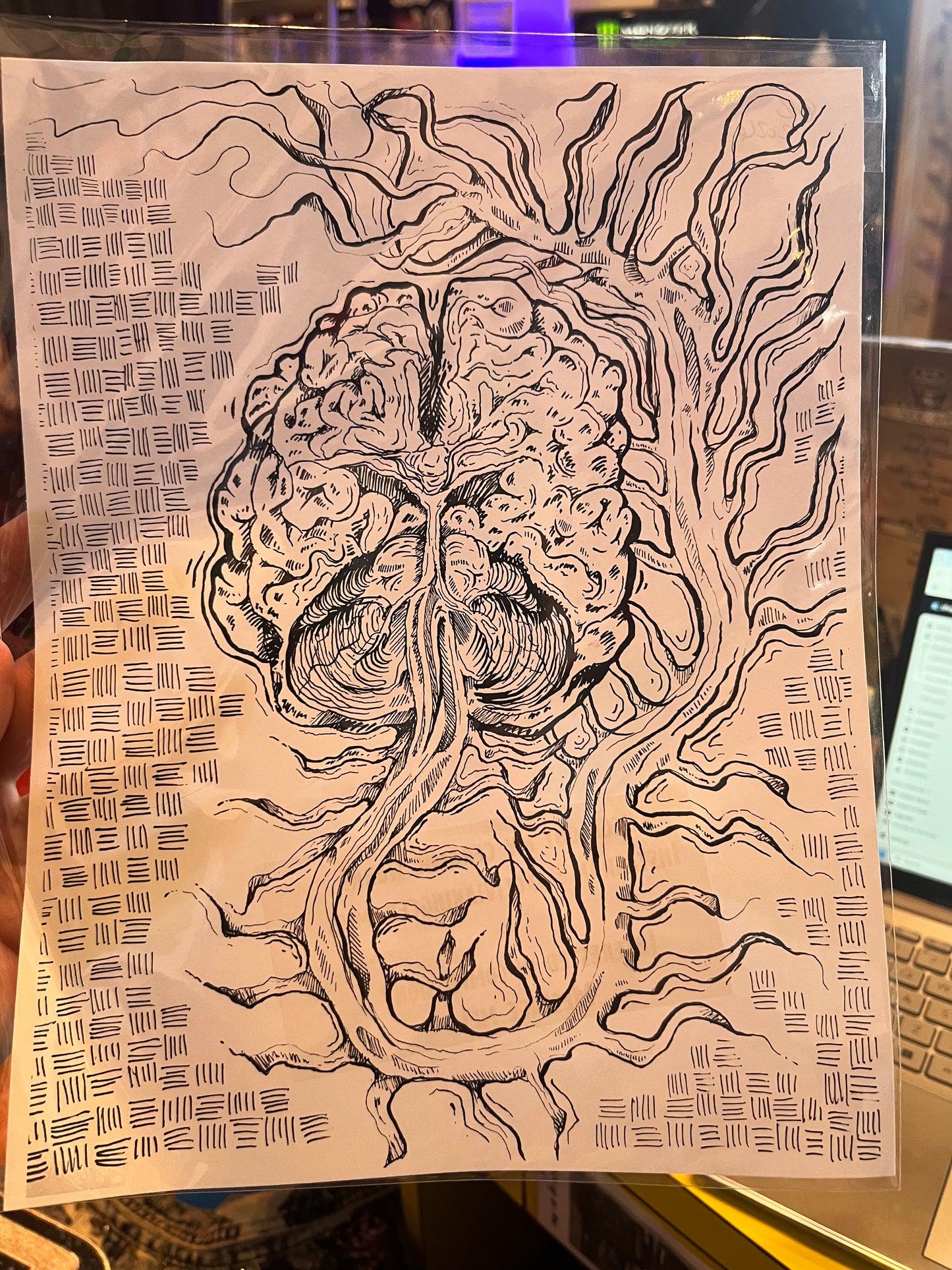 Olivia King Prints