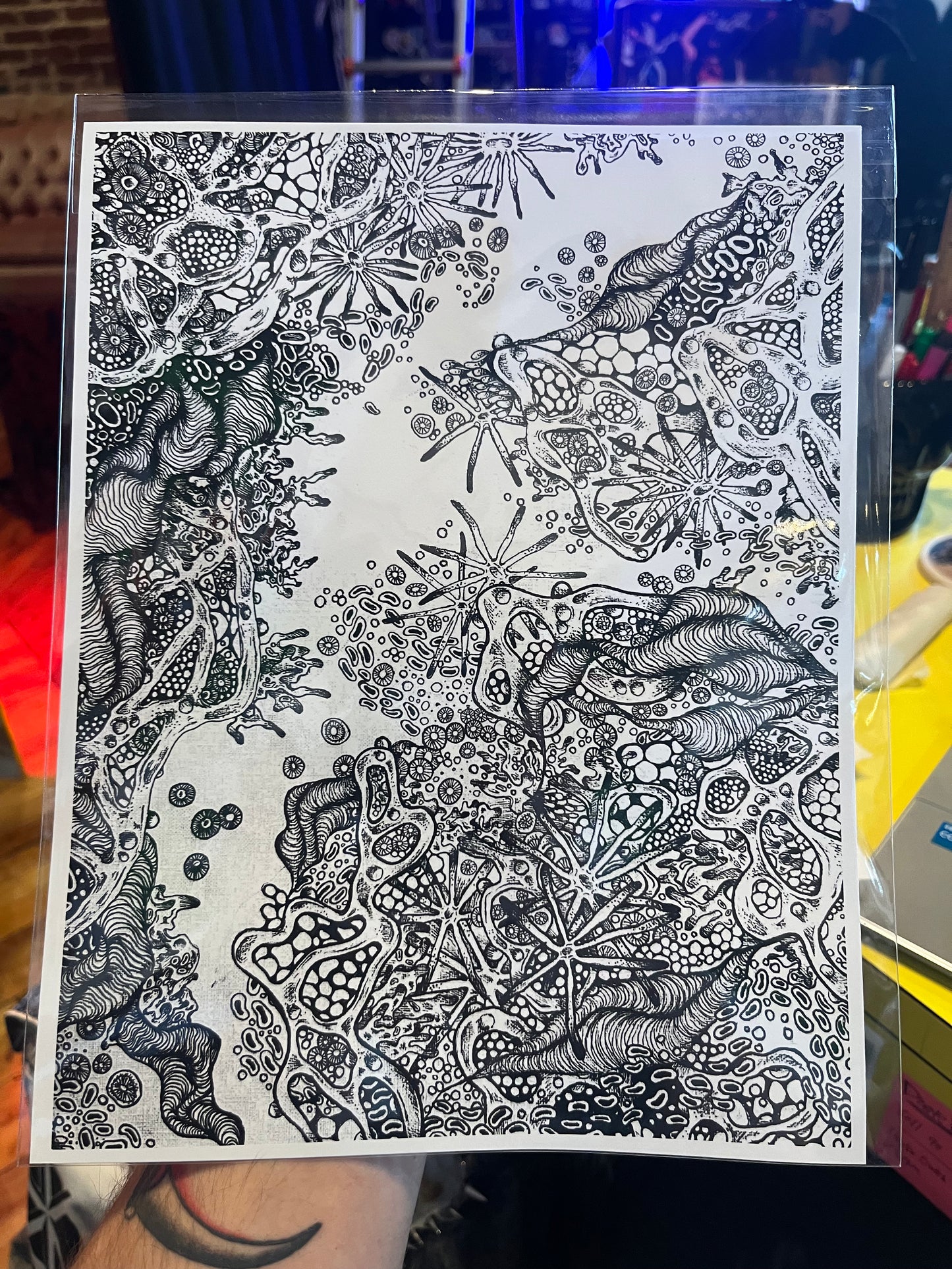 Olivia King Prints
