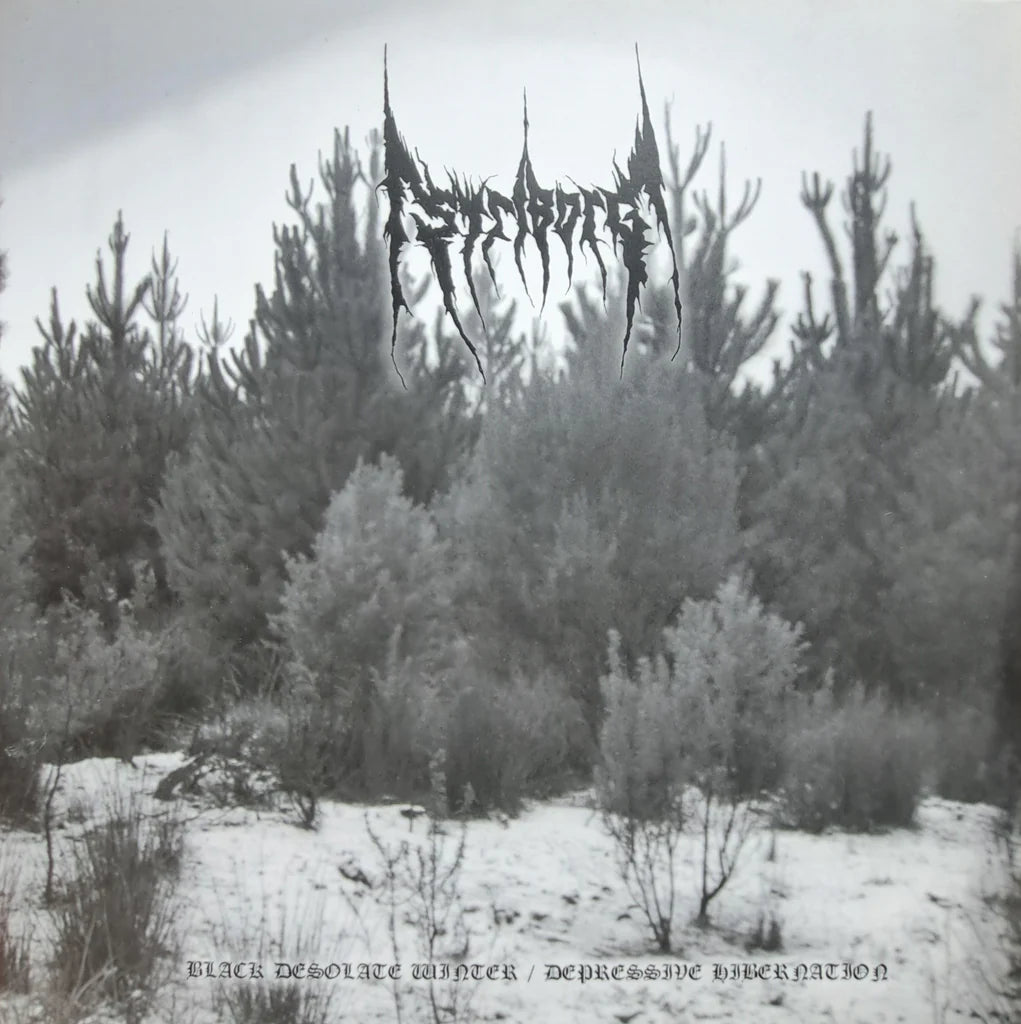 Striborg - Black Desolate Winter / Depressive Hibernation LP USED