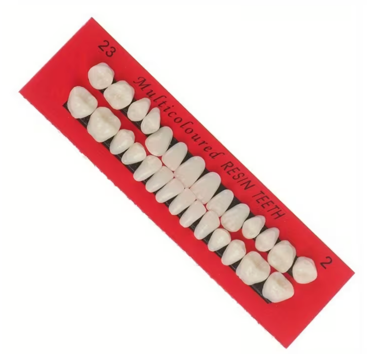 Resin Teeth Set