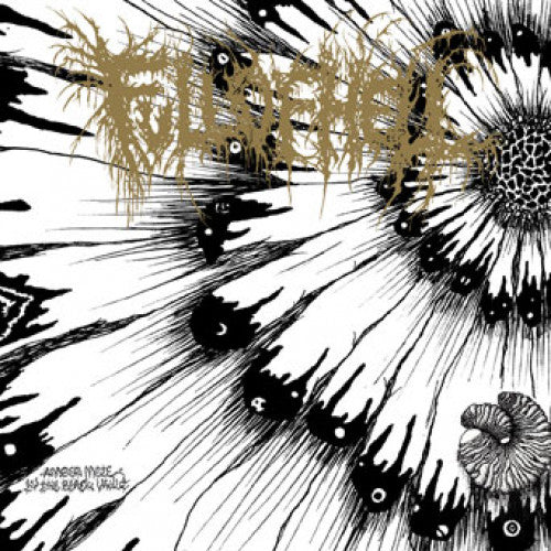 Full of Hell - Amber Mote in the Black Vault 7" ep