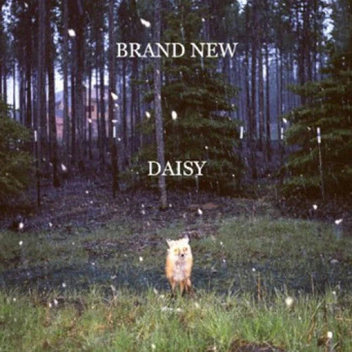 Brand New "Daisy" - LP