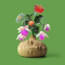 Elephant Gym - Dreams CASSETTE