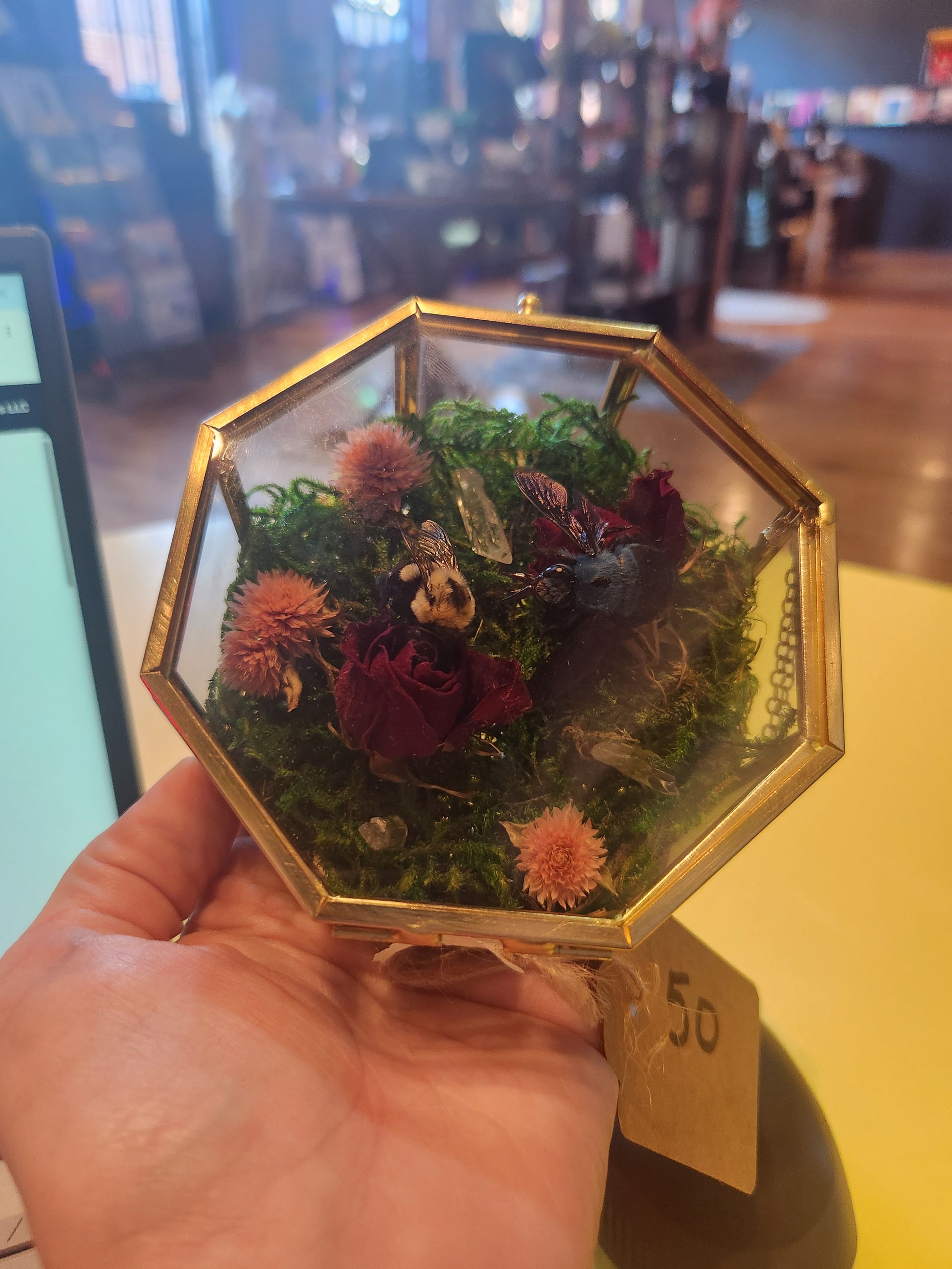Rose Bees Bug Taxidermy