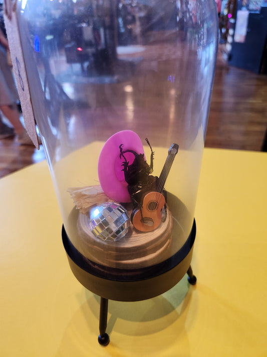 Pink Pony Club Beetle Bug Taxidermy