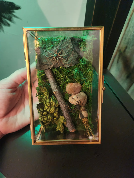 Two Spiders Taxidermy