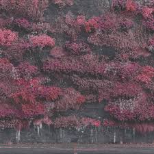 Sleep Token - Even in Arcadia LP USED