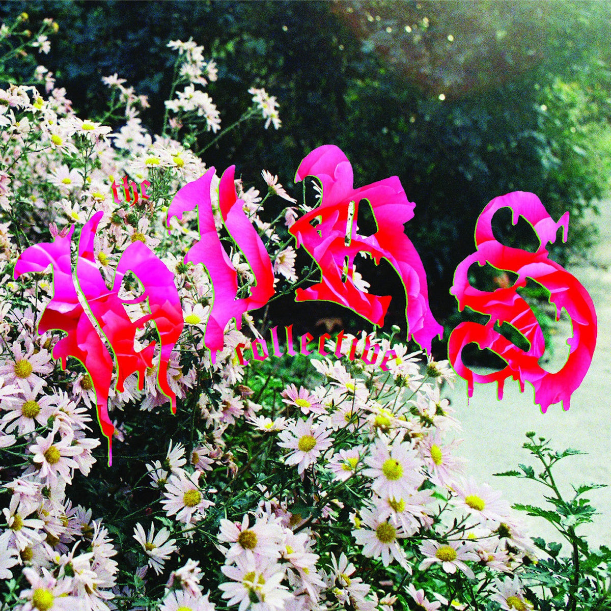 The HIRS Collective - We're Still Here (White Vinyl) |